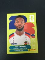 Panini FIFA World Cup Sticker HAI 16
